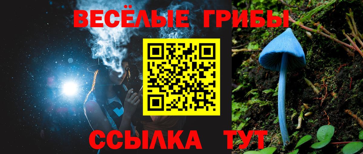 Псилоцибиновые грибы прущие грибы Обнинск