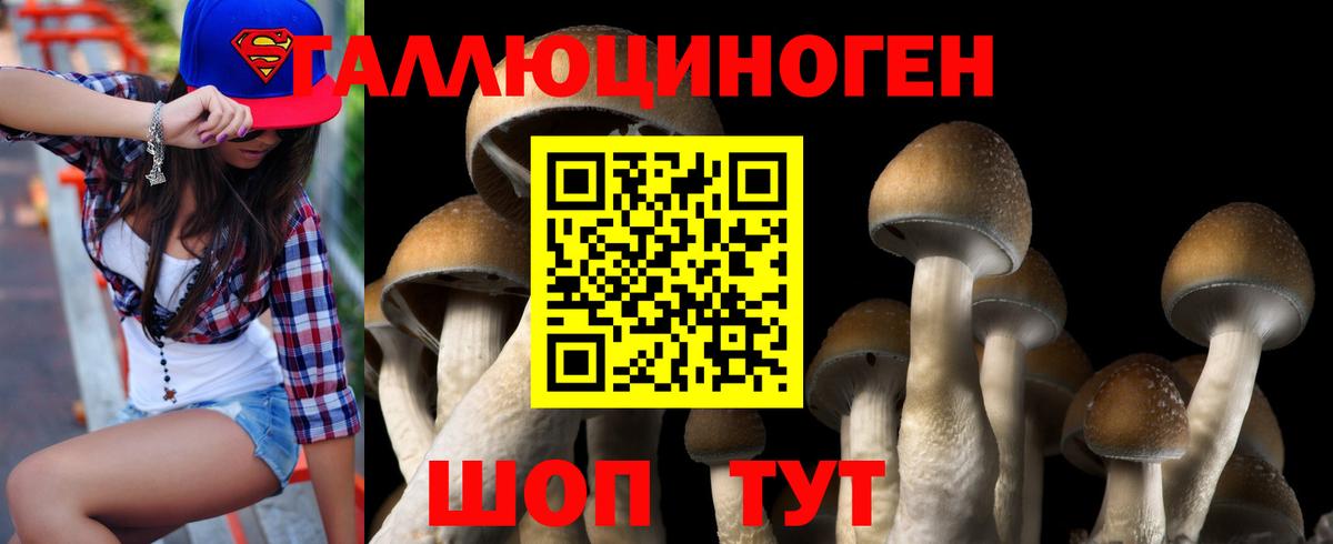 Псилоцибиновые грибы прущие грибы  Вход с VPN  Галлюциногенные грибы Psilocybe  Обнинск 